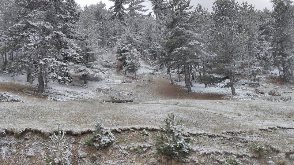 Kastamonu Tepeharman Köyü Resimleri 2