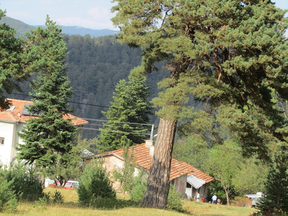 Kastamonu Yukarıismailli Köyü Resimleri 1