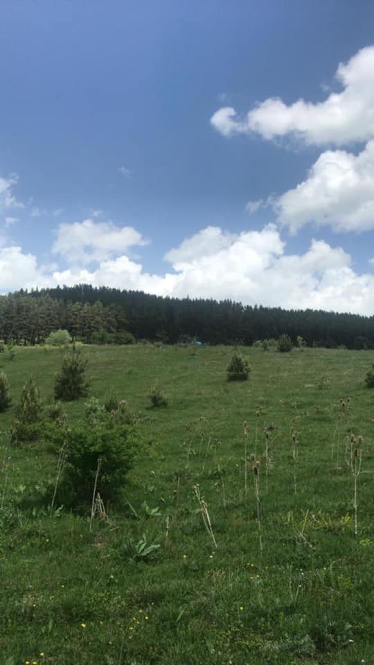 Kastamonu Yukarıismailli Köyü Resimleri 3