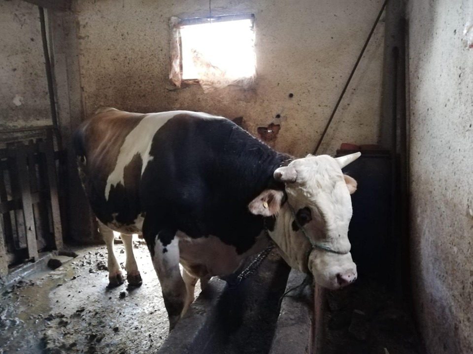 İlkadım Kuşçulu Köyü Resimleri 11