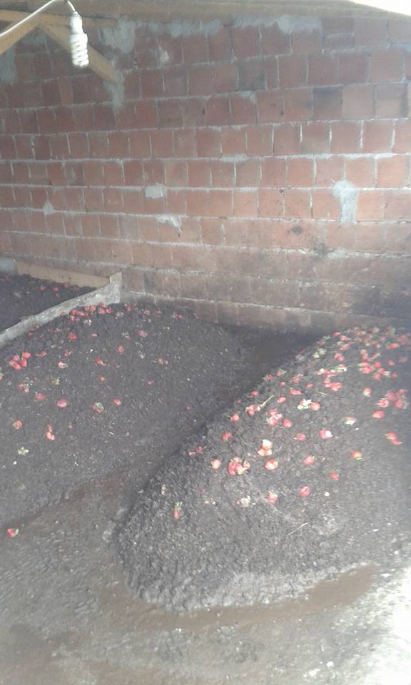 İlkadım Kuşçulu Köyü Resimleri 4