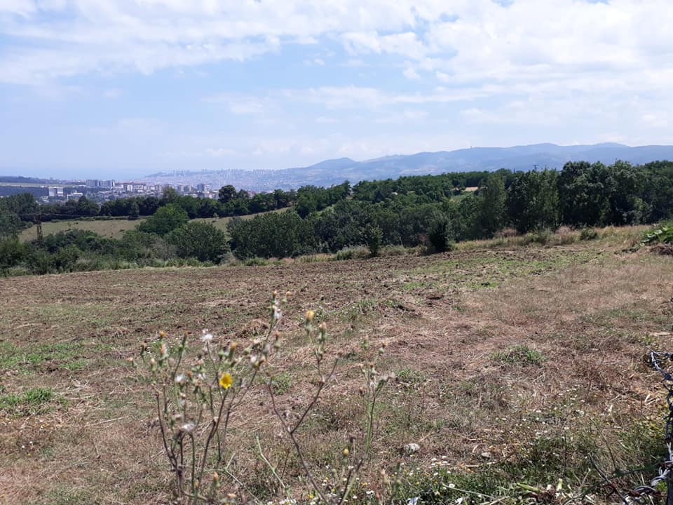 İlkadım Kuşçulu Köyü Resimleri 7