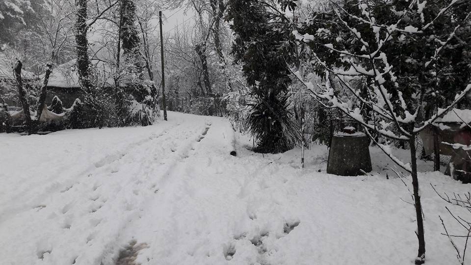 Çarşamba Acıklı Köyü Resimleri 1