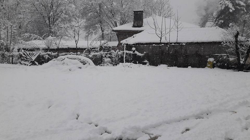 Çarşamba Acıklı Köyü Resimleri 2