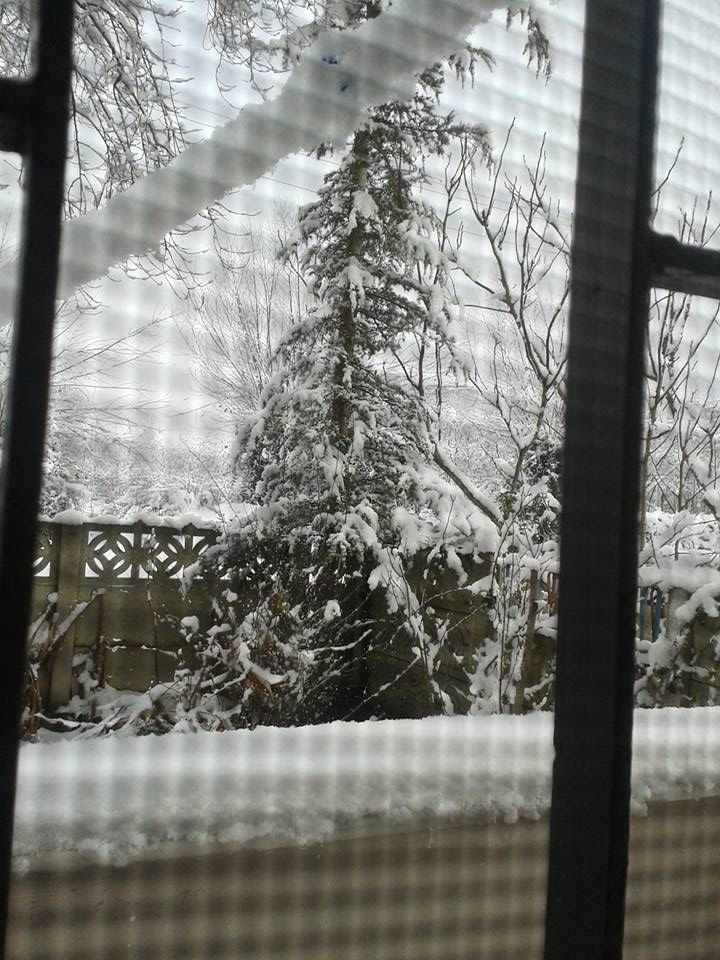 Çarşamba Acıklı Köyü Resimleri 7