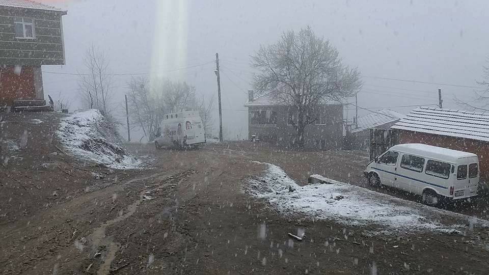 Çarşamba Ağcagüney Köyü Resimleri 10