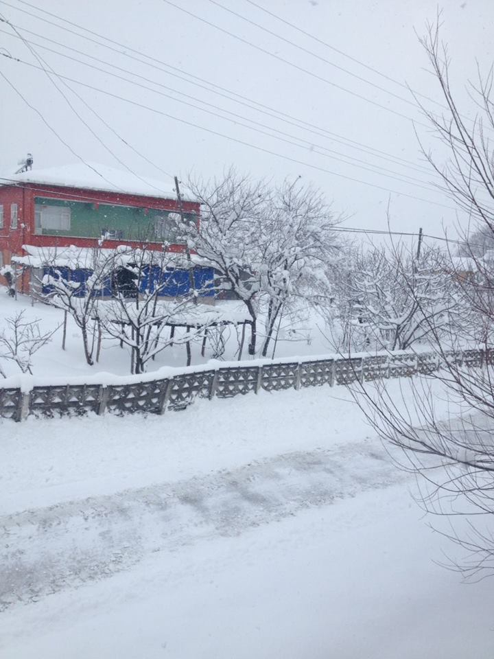 Çarşamba Ağcagüney Köyü Resimleri 11