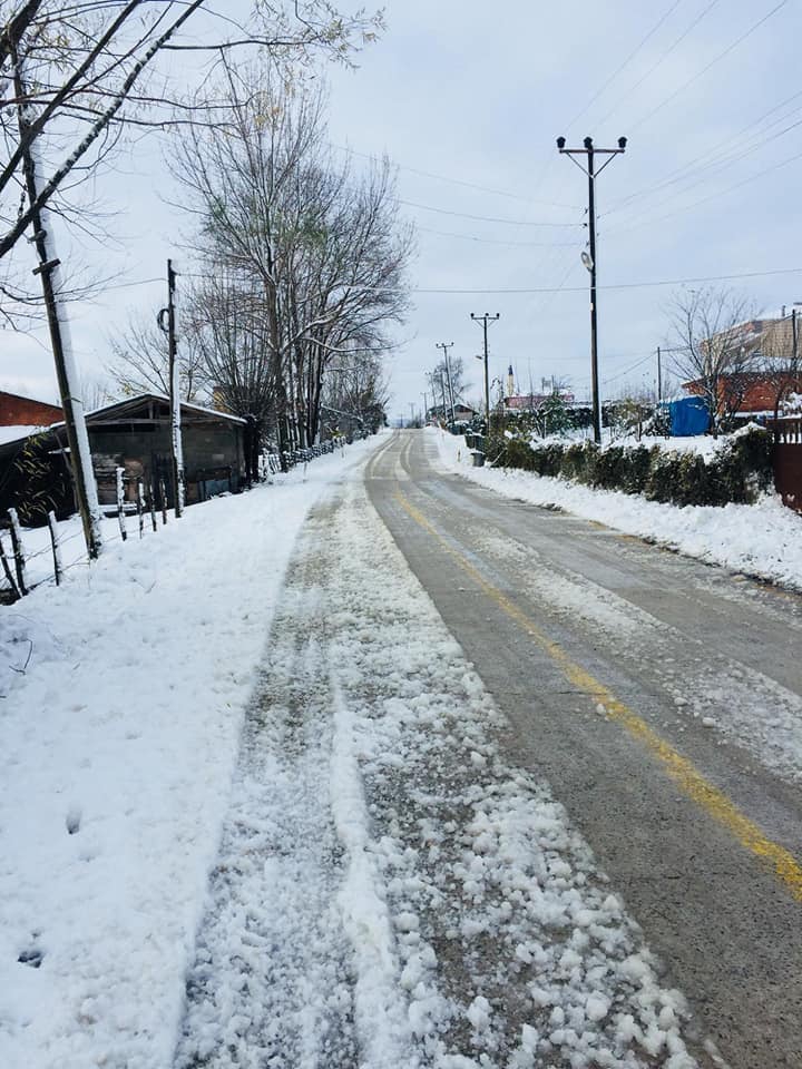 Çarşamba Ağcagüney Köyü Resimleri 3