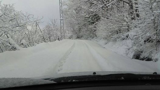 Çarşamba Ağcagüney Köyü Resimleri 5