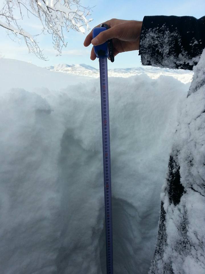 Çarşamba Ağcagüney Köyü Resimleri 7