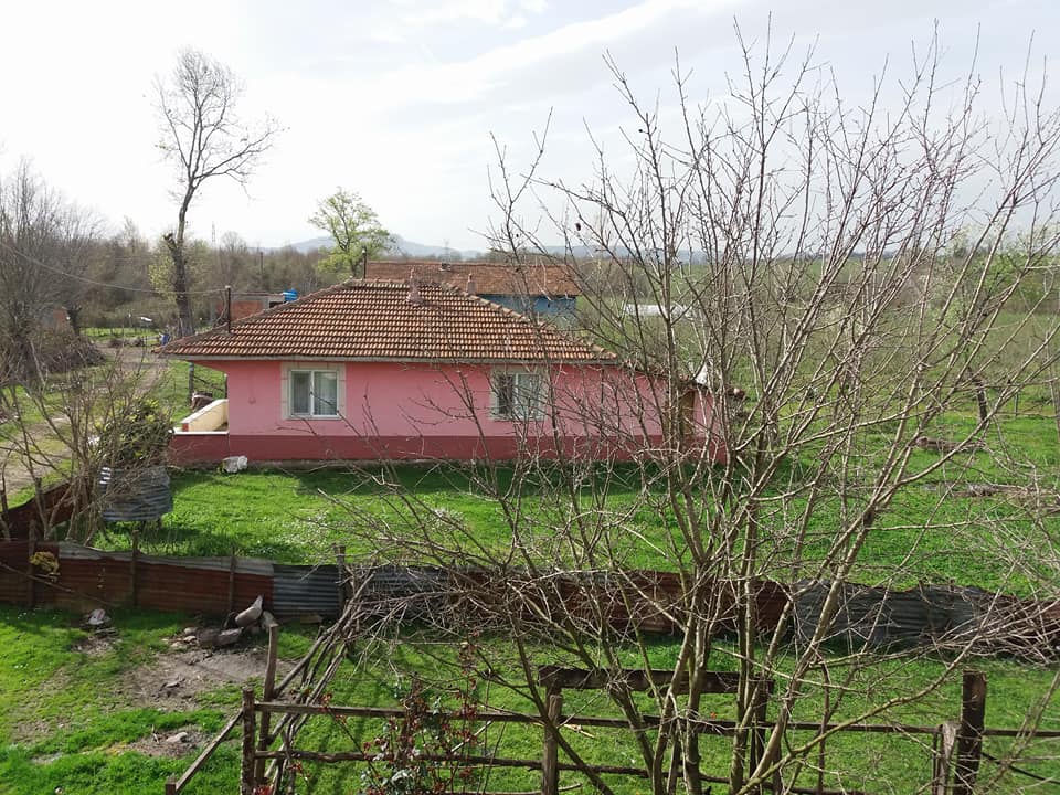 Çarşamba Ağcagüney Köyü Resimleri 9