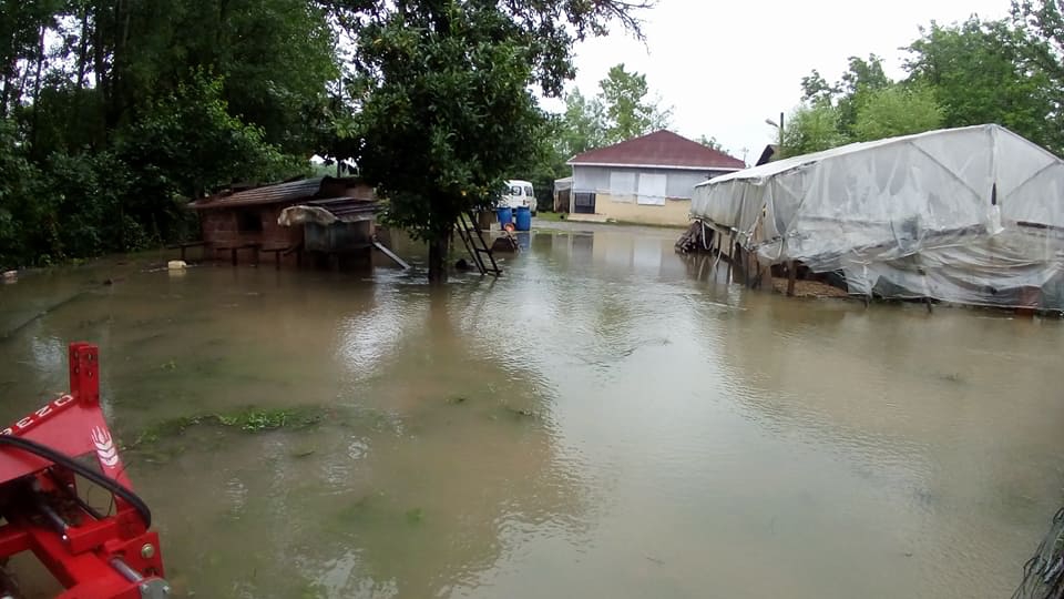 Çarşamba Ahubaba Köyü Resimleri 2