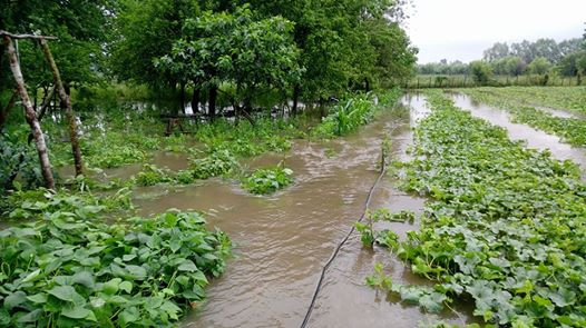 Çarşamba Ahubaba Köyü Resimleri 6