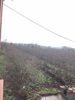 Çarşamba Ahubaba Köyü Resimleri 7