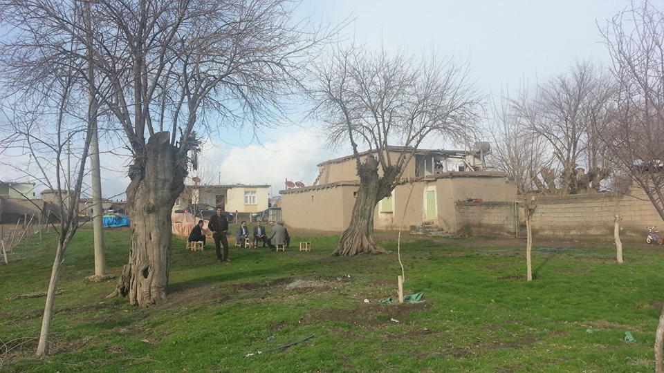 Bismil Bölümlü Köyü Resimleri 1