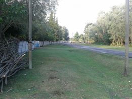 Çarşamba Akçatarla Köyü Resimleri 4