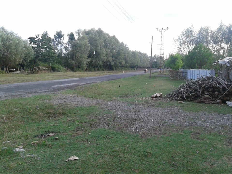 Çarşamba Akçatarla Köyü Resimleri 8