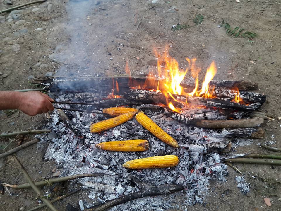 Çarşamba Akkuzulu Köyü Resimleri 2