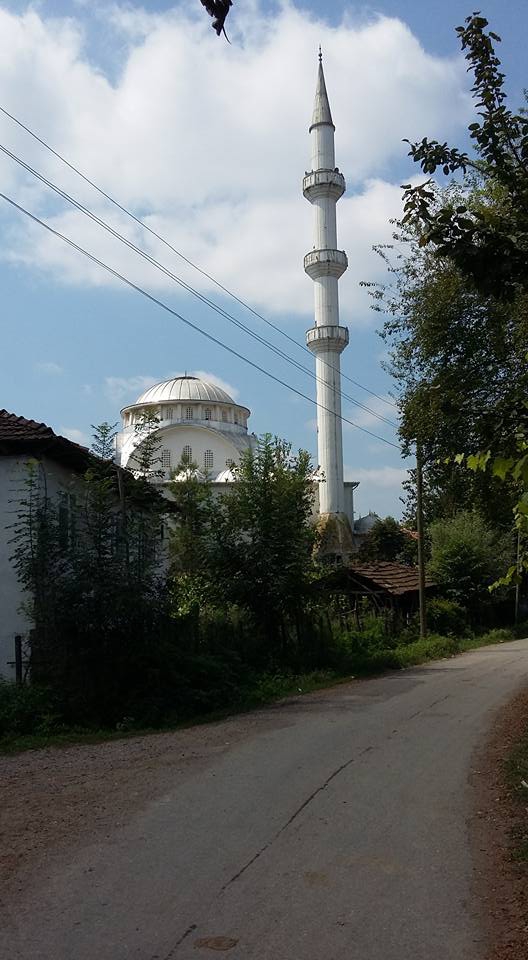 Çarşamba Alibeyli Köyü Resimleri 2