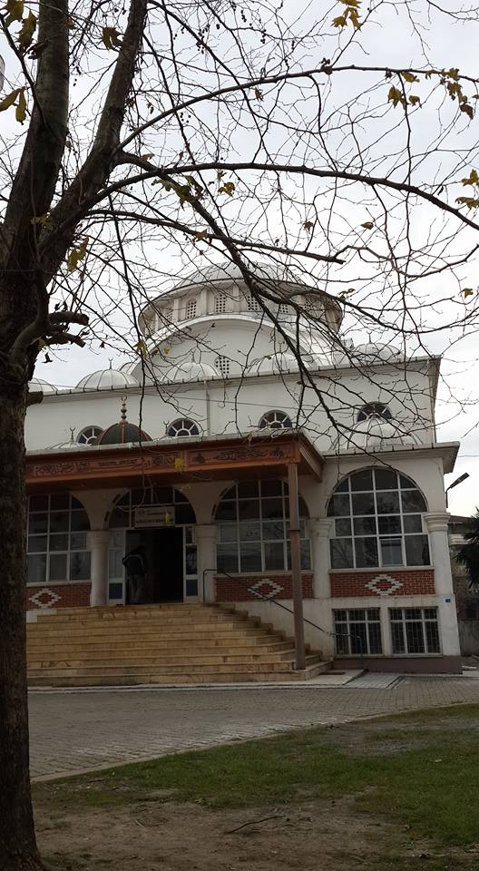 Çarşamba Alibeyli Köyü Resimleri 7