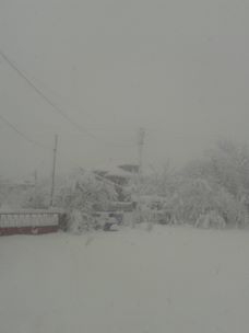 Çarşamba Allı Köyü Resimleri 11