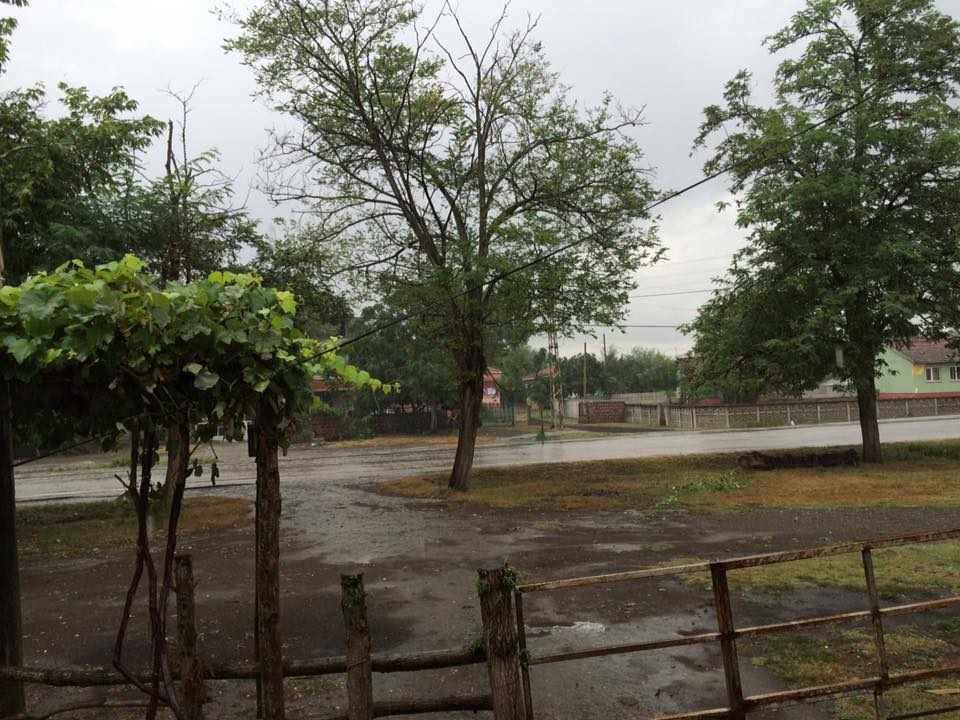 Çarşamba Allı Köyü Resimleri 9