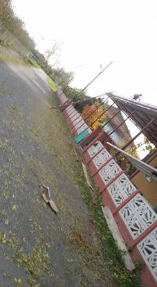 Çarşamba Aşağıdikencik Köyü Resimleri 1