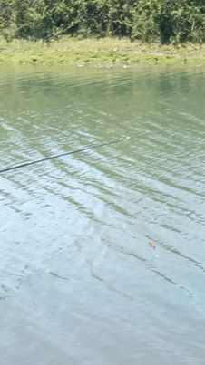 Çarşamba Aşağıdikencik Köyü Resimleri 2