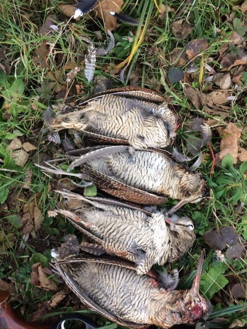 Çarşamba Aşağıdonurlu Köyü Resimleri 1