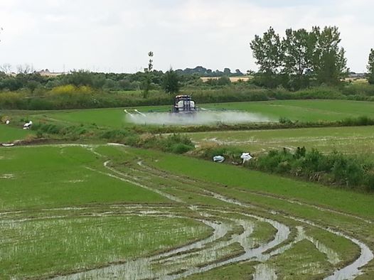 Babaeski Çiğdemli Köyü Resimleri 8