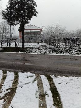 Çarşamba Aşıklı Köyü Resimleri 10