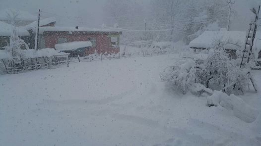 Çarşamba Aşıklı Köyü Resimleri 4