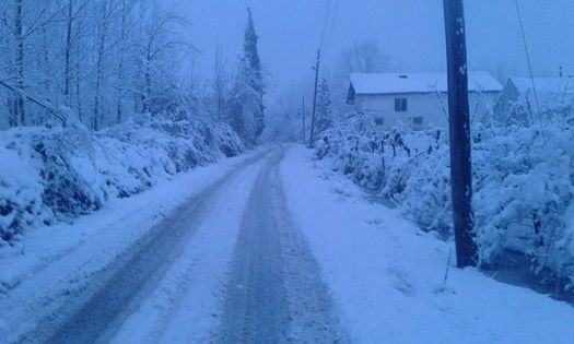 Çarşamba Aşıklı Köyü Resimleri 5