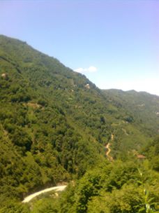 Çarşamba Aşıklı Köyü Resimleri 7