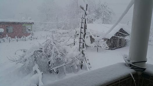 Çarşamba Aşıklı Köyü Resimleri 9