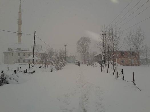 Çarşamba Ataköy Köyü Resimleri 11