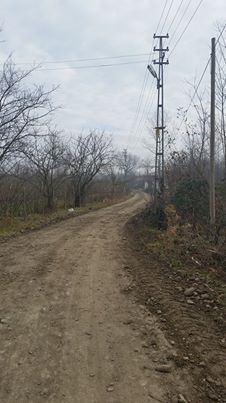 Çarşamba Ataköy Köyü Resimleri 2