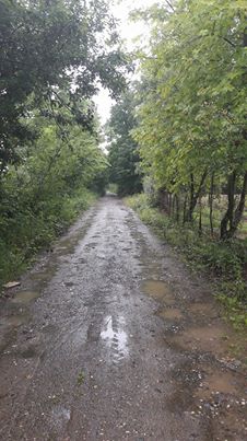 Çarşamba Ataköy Köyü Resimleri 4