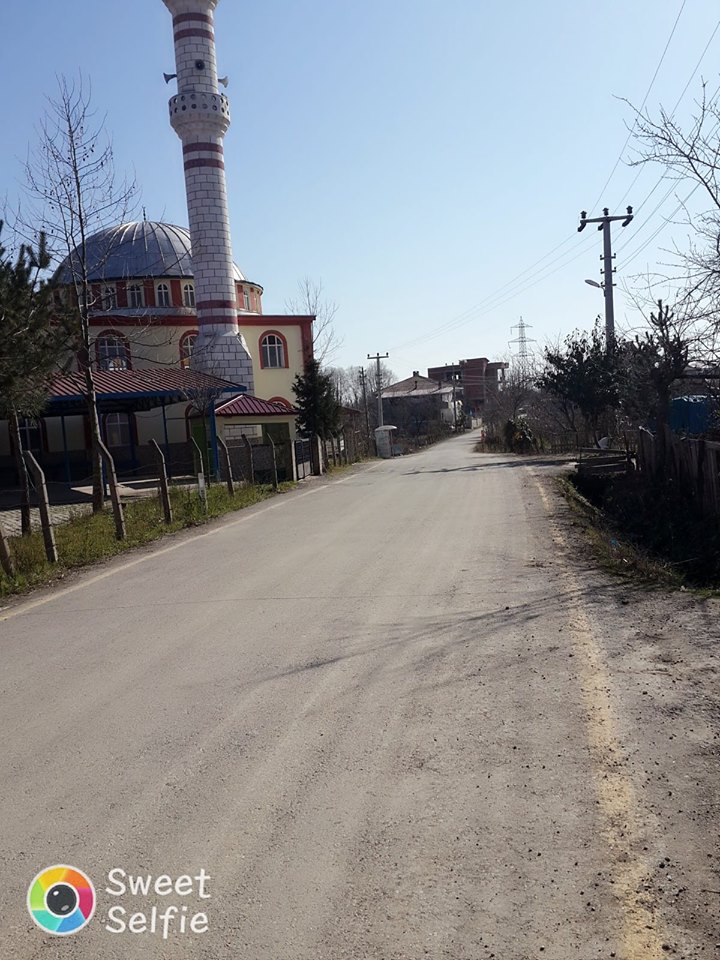 Çarşamba Ataköy Köyü Resimleri 6