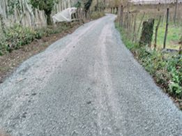 Çarşamba Bafracalı Köyü Resimleri 1