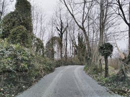 Çarşamba Bafracalı Köyü Resimleri 3