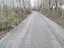 Çarşamba Bafracalı Köyü Resimleri 9