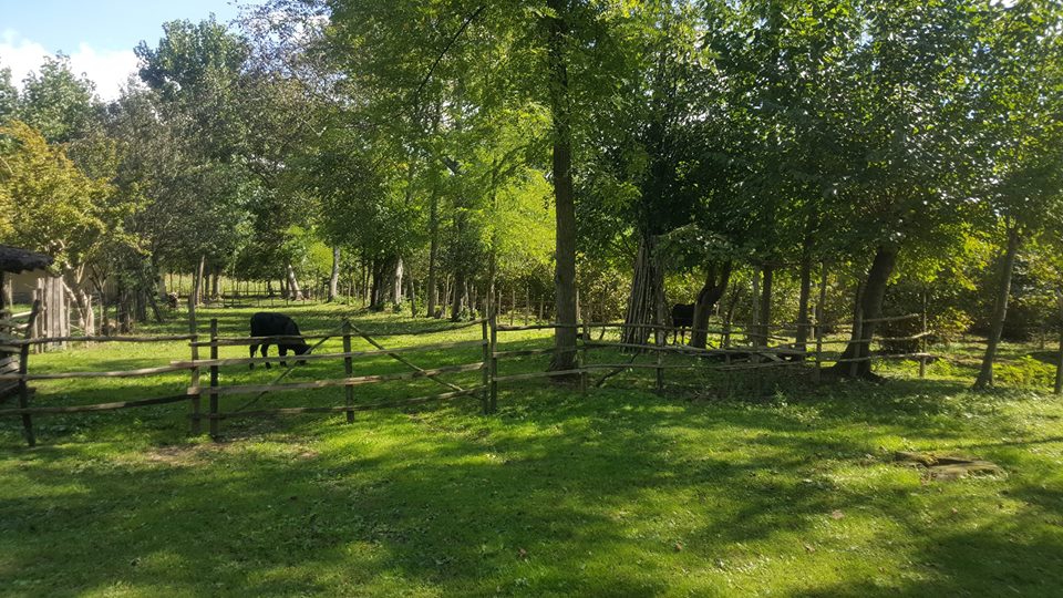 Çarşamba Bayramlı Köyü Resimleri 5