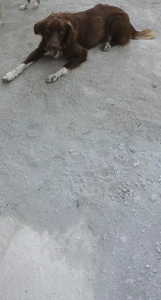 Çarşamba Beylerce Köyü Resimleri 6