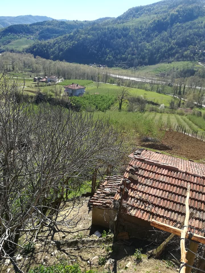 Çarşamba Bezirgan Köyü Resimleri 1