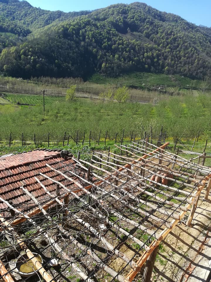 Çarşamba Bezirgan Köyü Resimleri 3