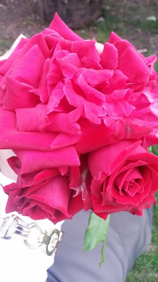 Çarşamba Boyacılı Köyü Resimleri 2