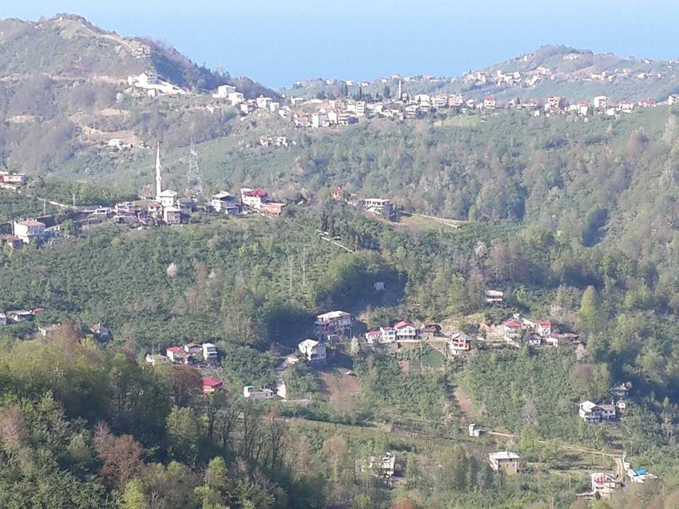 Vakfıkebir Sekmenli Köyü Resimleri 1