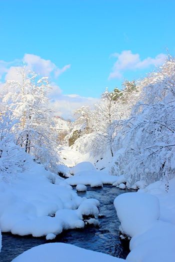 Vakfıkebir Sekmenli Köyü Resimleri 10