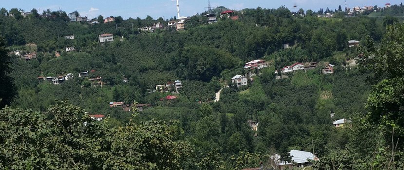 Vakfıkebir Sekmenli Köyü Resimleri 17